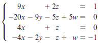 9x + 2z -20x – 9y – 5z + 5w = 0 4x -4x – 2y – z + w=-1 