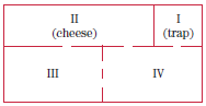 II I (cheese) (trap) III IV 