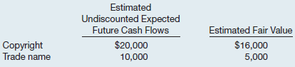 Estimated Undiscounted Expected Future Cash Flows Estimated Fair Value Copyright $20,000 $16,000 Trade name 