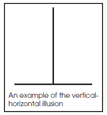 An example of the vertical- horizontal illusion 