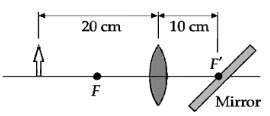 A small object is 20 cm from a thin positive