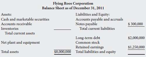 Complete the balance sheet of Flying Roos Corporation.  .:.