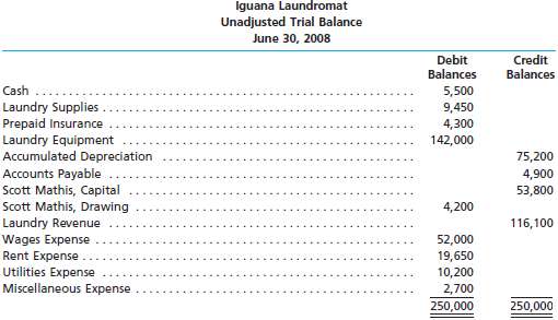 The unadjusted trial balance of Iguana Laundromat at June 30,
