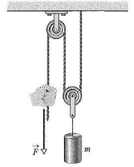 In Figure a cord runs around two massless, frictionless pulleys.