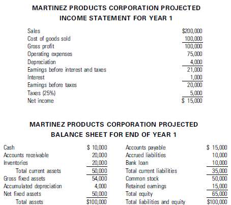Ricardo Martinez has prepared the following financial statement 