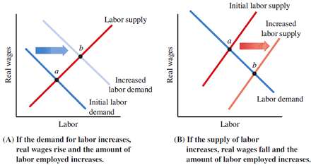 1. Labor market equilibrium occurs at a real wage at
