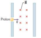A proton with a speed of 3.5 Ã— 106 m/s
