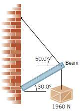 A 1220-N uniform beam is attached to a vertical wall