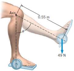The drawing shows a lower leg being exercised. It has