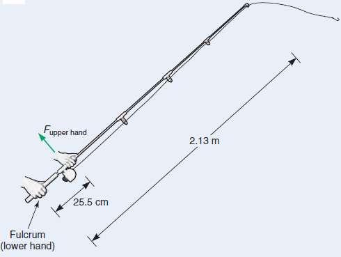 (a) What is the mechanical advantage of the fishing pole