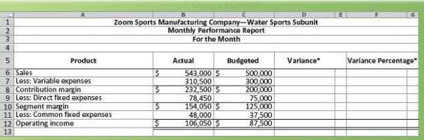 One subunit of Zoom Sports Company had the following financial