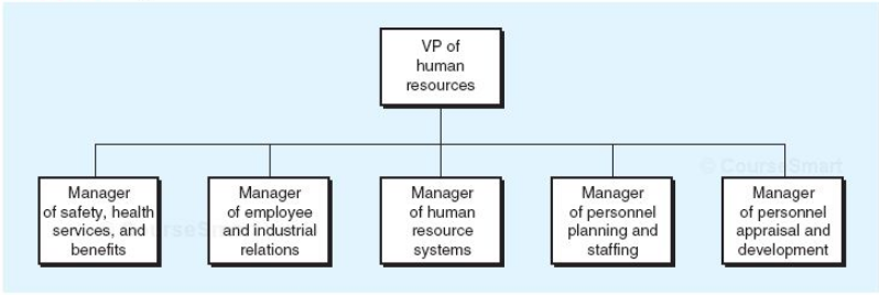 Examine the placement of the manager of HR systems in