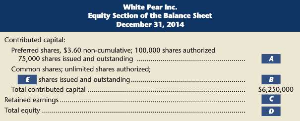 White Pear Inc. showed the following equity information as at