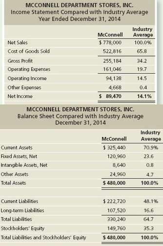 The McConnell Department Stores, Inc. chief executive officer (CEO) has