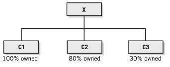 The diagram below portrays Company X (the parent or investor