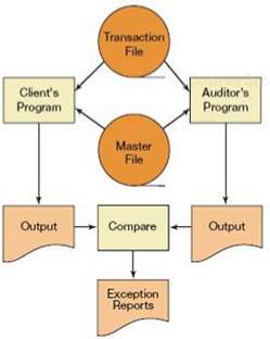 1. When auditing around the computer, the independent auditor focuses