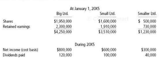 On January 1, 20X5, Big Ltd. purchased 80% of the