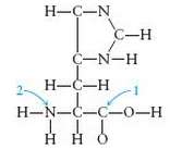 The study of carbon- containing compounds and their properties is