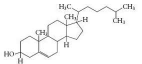 Cholesterol (C27H46O) has the following structure:
In such shorthand structures, each