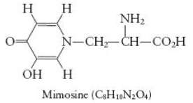 Mimosine is a natural product found in large quantities in