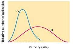 Consider the following velocity distribution curves A and B.
a. If
