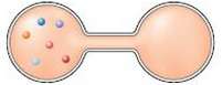 Consider the following illustration of six molecules of gas in