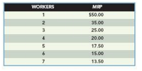 The following table represents the David Narcizo Drum Company's MRP:
Calculate