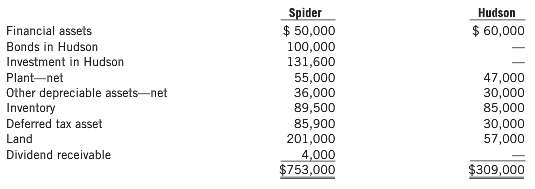 Financial information at December 31, 2013, of Spider and its
