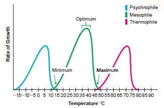 Figure 7.9. Draw a growth curve for a psychrotroph on