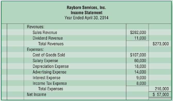 The income statement and additional data of Rayborn Services, Inc.