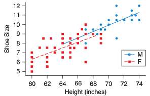 The scatterplot shows the shoe size and height for some
