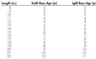 How old is my bass? Ever wondered about the age
