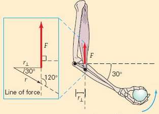 In Fig. 8.4a, if the arm makes a angle with