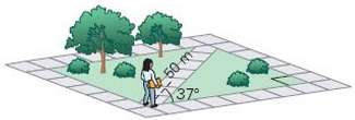 A student strolls diagonally across a level rectangular campus plaza,