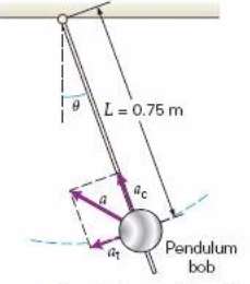 A pendulum swinging in a circular arc under the influence
