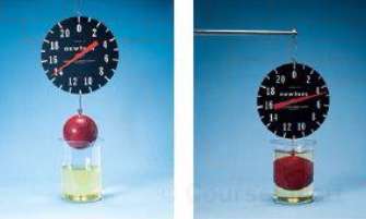 Figure 9.41 shows a simple laboratory experiment. Calculate 
(a) The