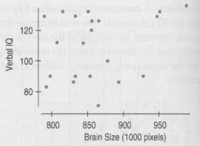 Does your IQ depend on the size of your brain?