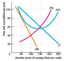 Is the market for running shoes efficient or inefficient in