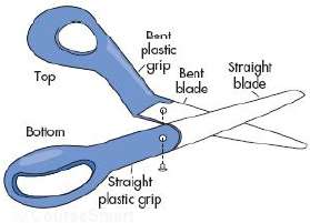Using the drawing of a pair of scissors below, do