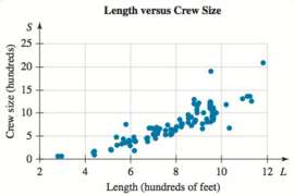 The lengths of cruise ships and the sizes of the