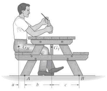 The picnic table has a weight WT and a center