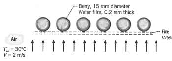 Berry, 15 mm diameter Water film, 0.2 mm thick 000000 Fire Scren Air ttttt1tttt111 T= 30°C V= 2 m/s 