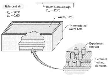 Quiescent air Room surroundings T = 25°C T= 20°C O.= 0.60 Water, 37°C - Thermostated water beth Experiment canister E