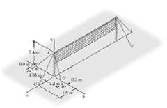 Consider the volleyball net shown. Determine the angle formed by guy