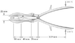 The bone rongeur shown is used in surgical procedures to