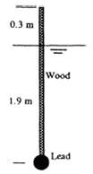 A yellow pine rod (SG = 0.65) is 5 cm by 5 cm