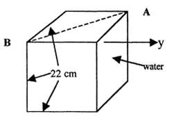 Consider a hollow cube of side length 22 cm