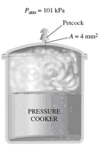 A pressure cooker cooks a lot faster