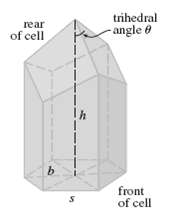 trihedral rear angle e of cell front of cell 
