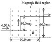 Magnetic field region |з00 ст 160.0 cm 4.50A 60.0 cm 